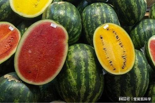 宿迁网红吃瓜事件真相,真相背后的网络狂欢与反思 第3张 宿迁网红吃瓜事件真相,真相背后的网络狂欢与反思 第3张